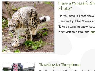 Snow Leopard Email Newsletter
